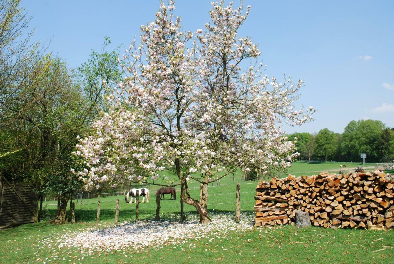 Stoeltings Landhaus Wiehl Luaran gambar